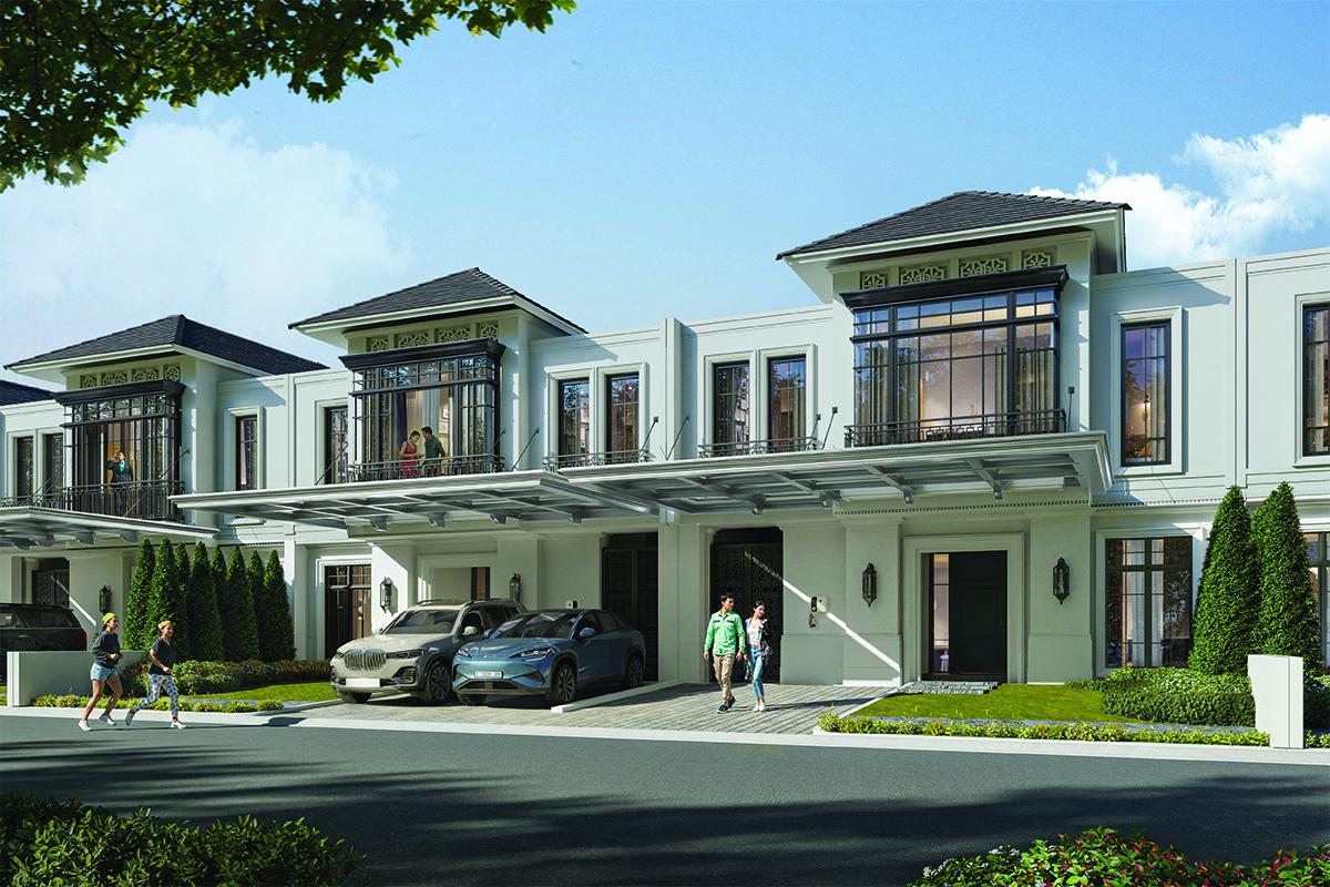 Banyan 10